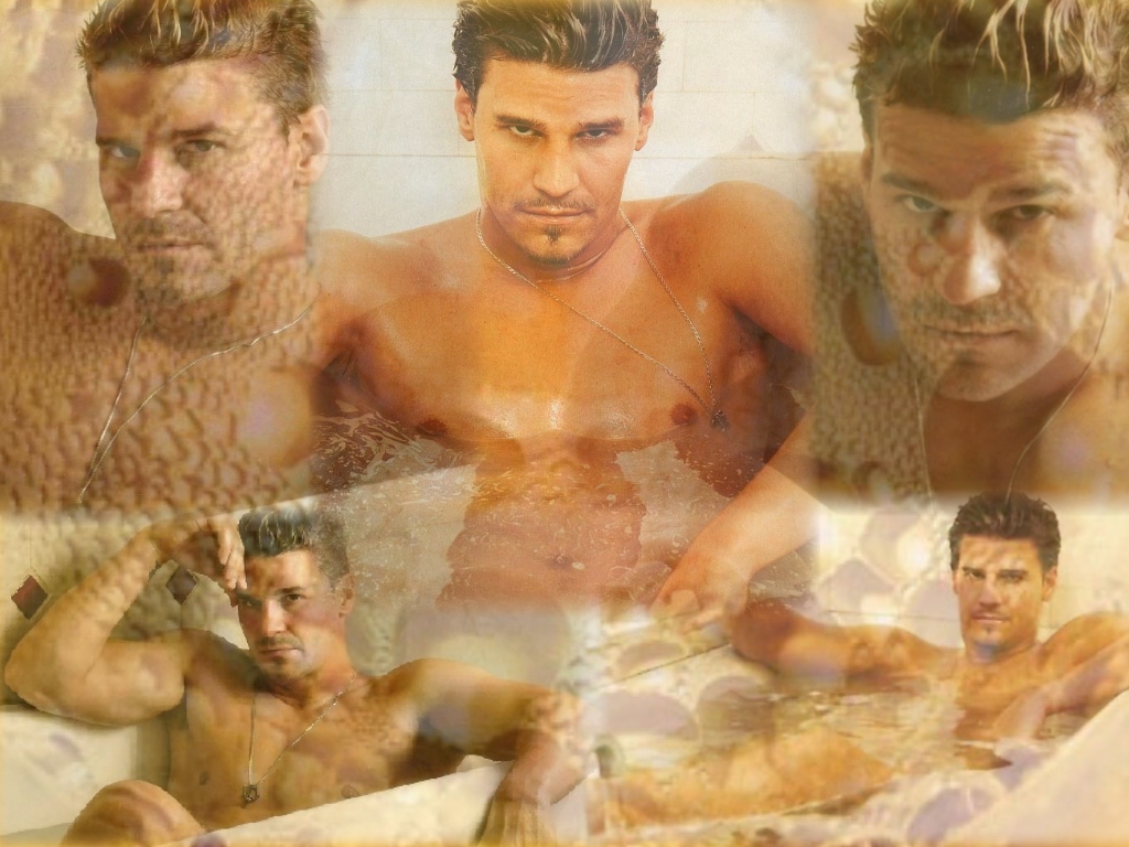 David-Boreanaz-angel-4621058-1024-768.jpg