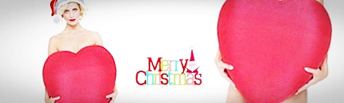 sarah_christmas_banner_by_16buffy-d3424y4.jpg