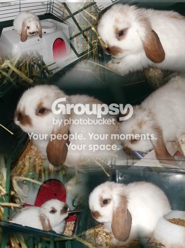 28b00f75.jpg
