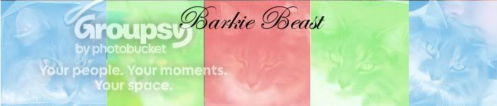 barkiebanner.jpg