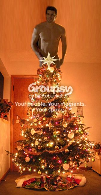tree-1.jpg