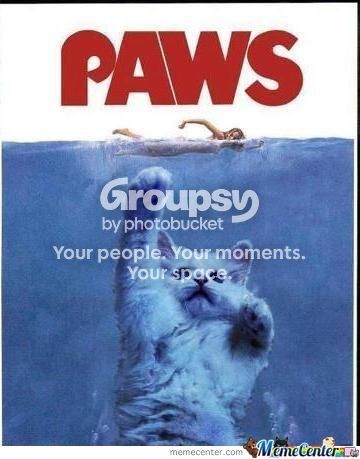 image_zpsamuqvc6y.jpg