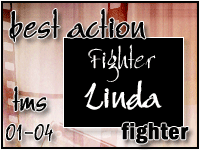 fighteraction.gif