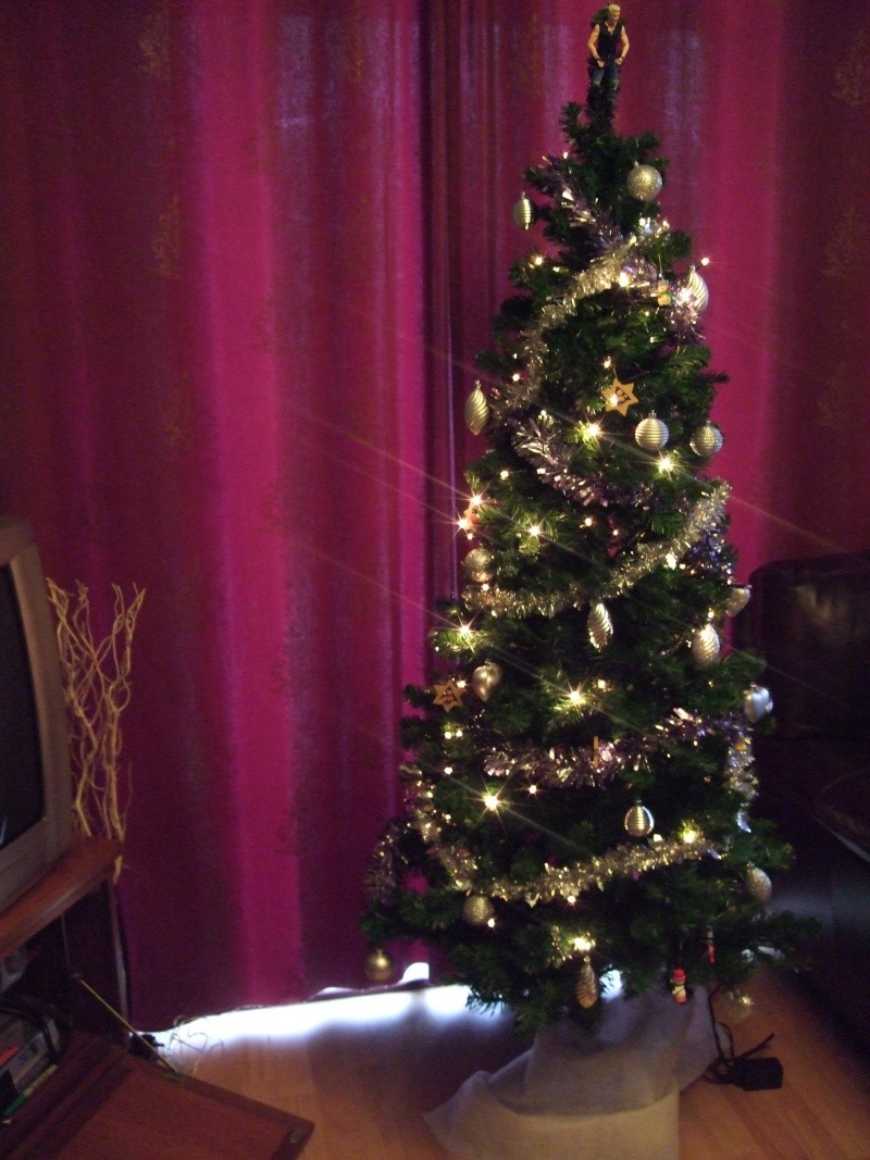 dscf0010.jpg