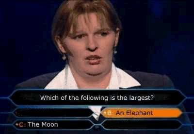 stupidity.jpg