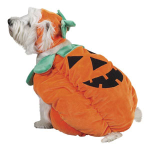 pumpkin%20dog.jpg