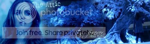 TheAtticbanner2.jpg