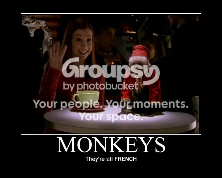 monkey.jpg