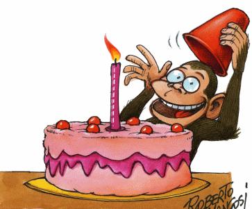 birthday_monkey.jpg