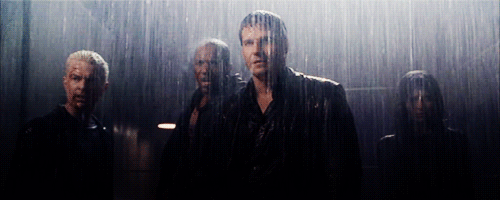 tumblr_m6sjasJAGO1r8gsqgo2_500.gif