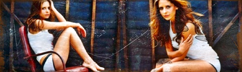 smg_banner_2_by_16buffy-d32mc0o.jpg