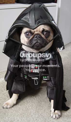 darthpuppy.jpg