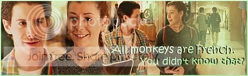 monkeys.jpg
